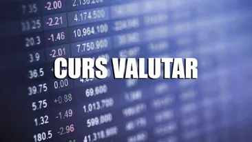 Curs valutar 8 februarie 2019. Cat a ajuns sa coste vineri 1 EURO si 1 DOLAR