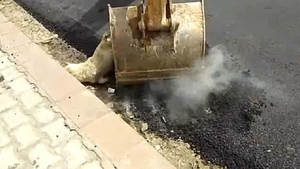 Muncitorii au asfaltat peste un caine! Scuza lor e STUPIDA! Au turnat bitum incins pe animal pentru ca... VIDEO