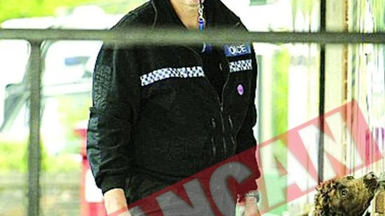 Cainii politisti, obligati sa poarte botosi