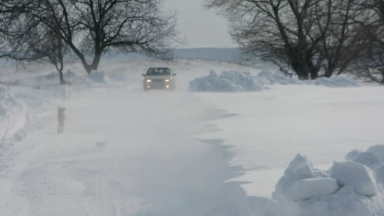 Iarna s-a întors în nordul ţării! Cinci drumuri naţionale şi şapte drumuri judeţene din Suceava, închise din cauza viscolului