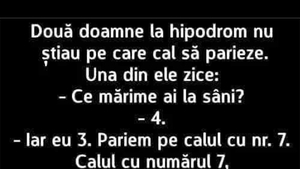 BANC | Două doamne la hipodrom
