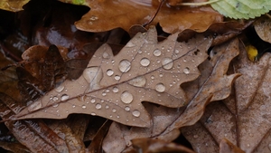 Meteo România, 1 Decembrie 2021. Cod galben și cod portocaliu de vreme rea în mai multe zone ale țării