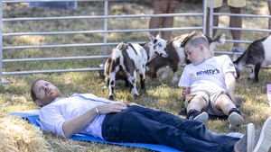 Prințul Harry, protagonistul unui moment amuzant în Marea Britanie. O capră l-a lovit în timpul unei sesiuni de yoga