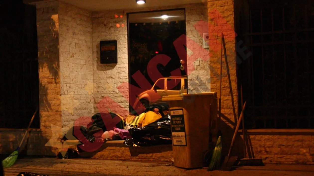 Cand Bursucul nu-i acasa...Maturatorii dorm la el la poarta!