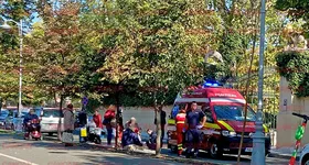 Galerie foto - poza 2