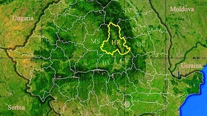 Rezultate Evaluarea Națională 2019 (Capacitate) Harghita