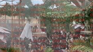 Pescobar și vedetele care au ajuns la Nuba au rămas fără cuvinte! Mega-surpriză pregătită clienților | VIDEO
