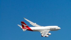 Avionul misterios, găsit pe o pistă din Tărgoviște, părăsit și acoperit cu cartoane