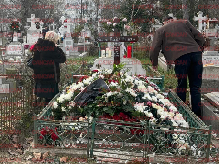 Gestul nepoatei Rodicăi Stănoiu