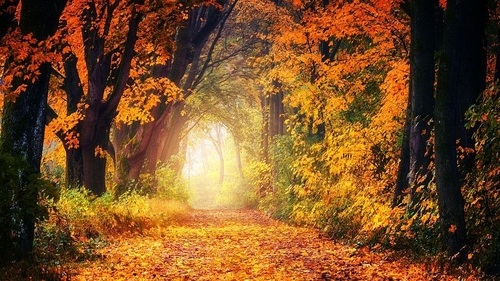 Prognoza meteo 20 septembrie: Maxime de 31 de grade!