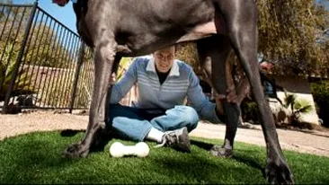 Cel mai mare caine din lume