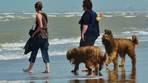 Încă o tragedie la mare! Un alt om a fost mușcat de câine, pe litoral!