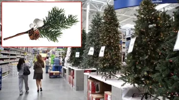 De necrezut! Câți lei a ajuns să coste o simplă crenguță de brad, pentru Crăciun