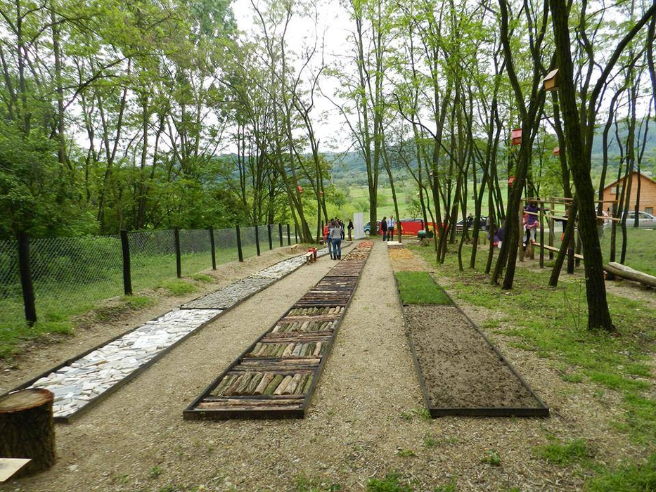 Aleea terapeutică din Vâlcea
