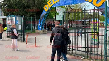 Cât costă un bilet la Delfinariu din Mamaia? Un adult trebuie să plătească aproape 75 de lei pentru a lua parte la o demonstrație