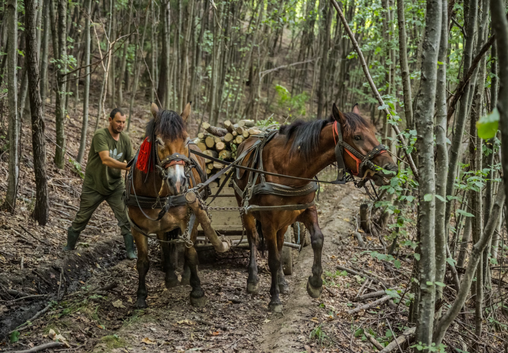 Satul din România în care se trăiește ca în comunism/ sursă foto: nationalgeographic