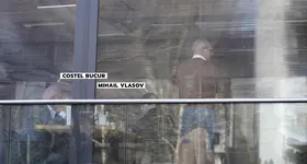 Galerie foto - poza 2