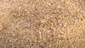 Iluzia optică de duminică | Unde se ascunde păianjenul? Geniile îl descoperă în 8 secunde