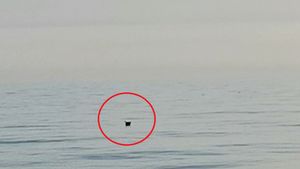 Alertă în Marea Neagră! Ce se întâmplă la doar 70 de kilometri de Capul Midia