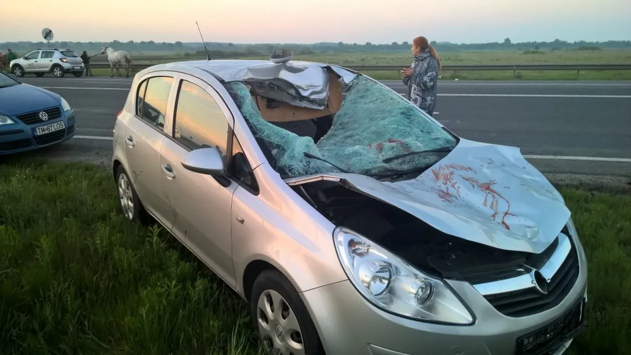 Accident în Buzău, cinci persoane rănite! Un cal a ieșit brusc în stradă…