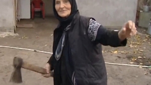 VIDEO Poveste rupta din basmele pentru copii! O batranica a ucis cu mainile goale un lup de 80 kg si a scapat doar cu zgarieturi