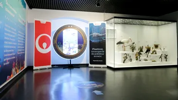 Veolia România susține lupta împotriva plasticului printr-o dioramă multimedia expusă la Muzeul Național de Istorie Naturală ,,Grigore Antipa”