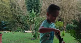 Galerie foto - poza 2