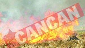 Incendiu la Parcul National Cozia