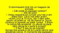 BANCUL ZILEI | Cât costă un papagal vorbitor? 300 de euro