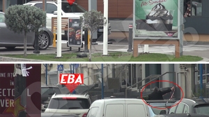 Fiica lui Traian Băsescu are viaţă dulce la noul loc de muncă. S-a făcut ”stăpână” peste Camera de Comerţ!