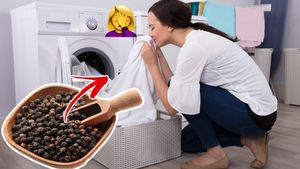 TRUCUL ZILEI | Ce se întâmplă dacă pui o linguriță de piper negru în mașina de spălat