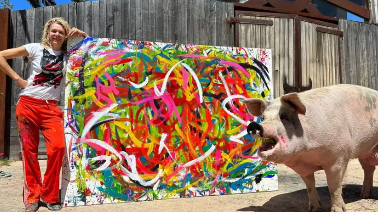 A murit Pigcasso, porcul care picta tablouri. Lucrările de artă ale animalului s-au vândut cu peste un milion de dolari
