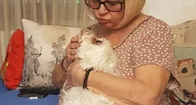 Galerie foto - poza 3