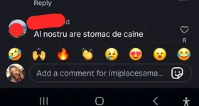 Galerie foto - poza 4