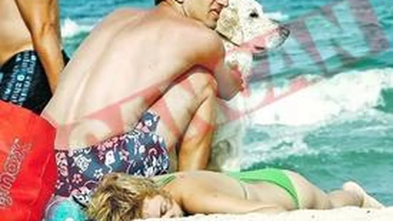 A ingropat in nisip mizeria facuta de caine