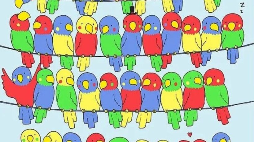 Test IQ exclusiv pentru genii | Identificați singurul papagal fără pereche!