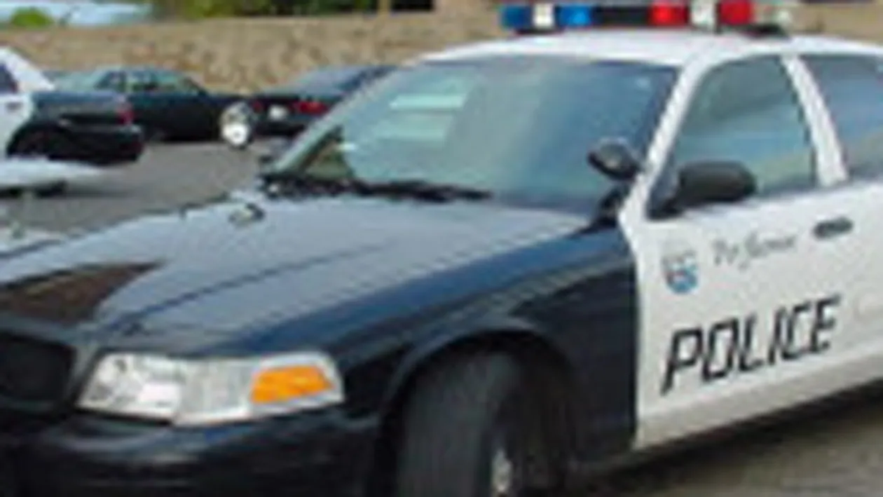 Un baietel de trei ani din California a stat 24 de ore in masina in care l-a uitat tatal sau