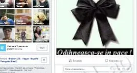 Galerie foto - poza 2