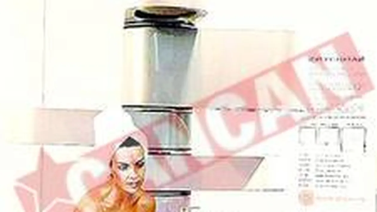 Baia asezata vertical costa 11.500 de euro