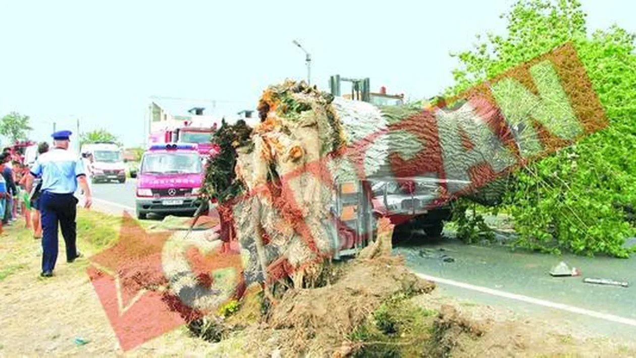 Vin furtunile peste jumatate de tara