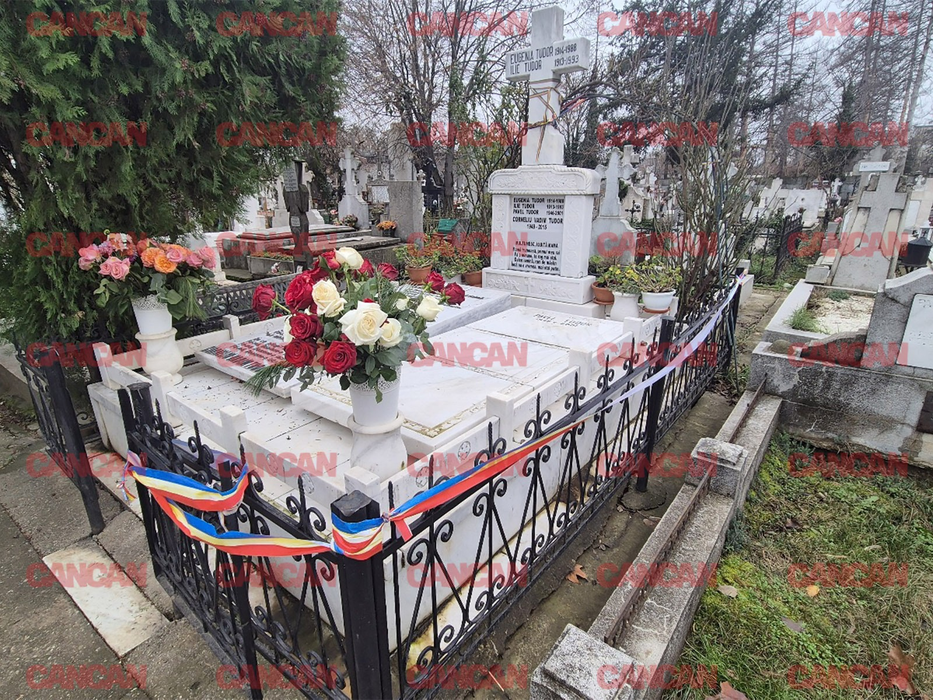 Mormântul lui Vadim Tudor