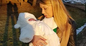 Galerie foto - poza 1