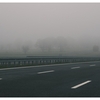 Ceața dă peste cap traficul în București și în alte trei județe. Avertismentul transmis de MAI