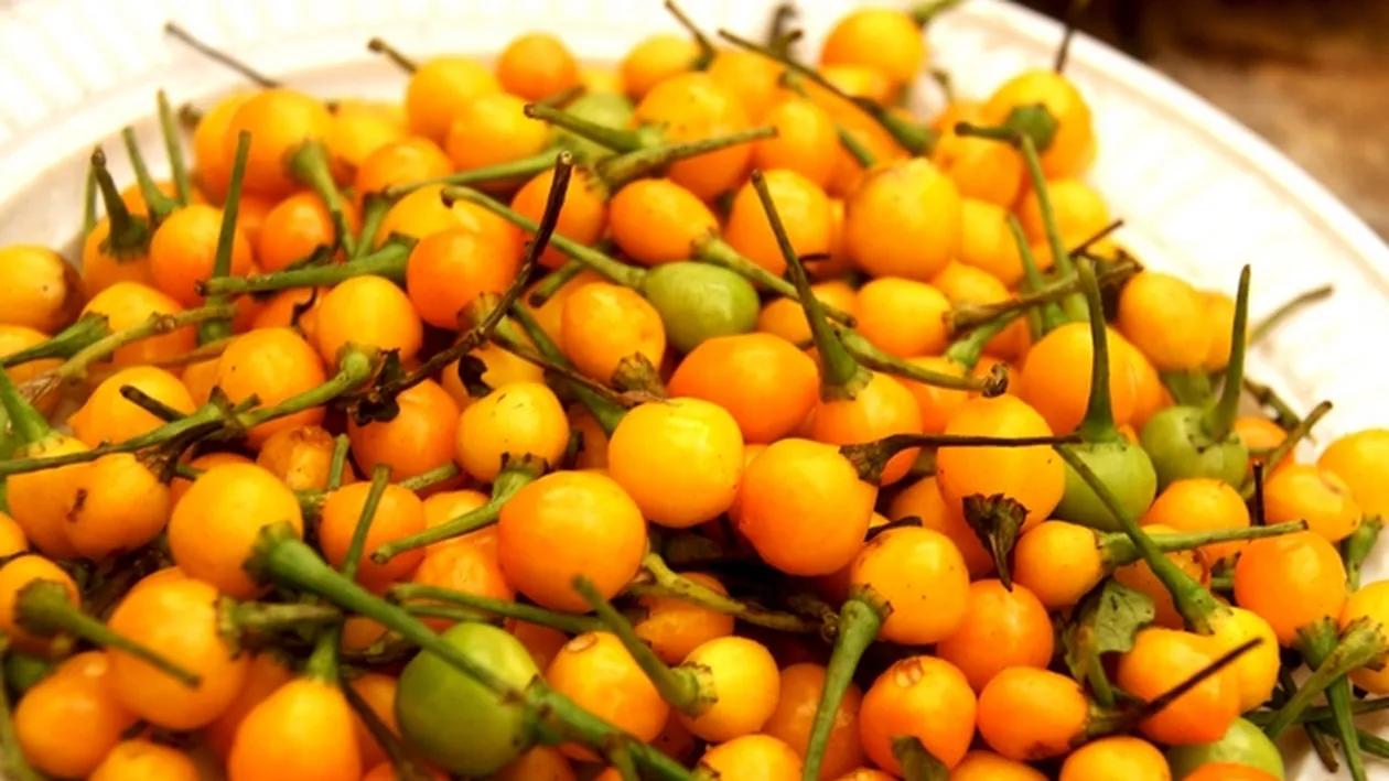 Cel mai scump ardei iute din lume se cultivă în România. Un kilogram costă cât o garsonieră!