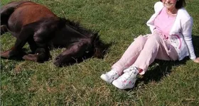 Galerie foto - poza 1