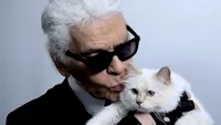 Pisica lui Karl Lagerfeld, ”în doliu”. Choupette le-a mulțumit fanilor pe Instagram