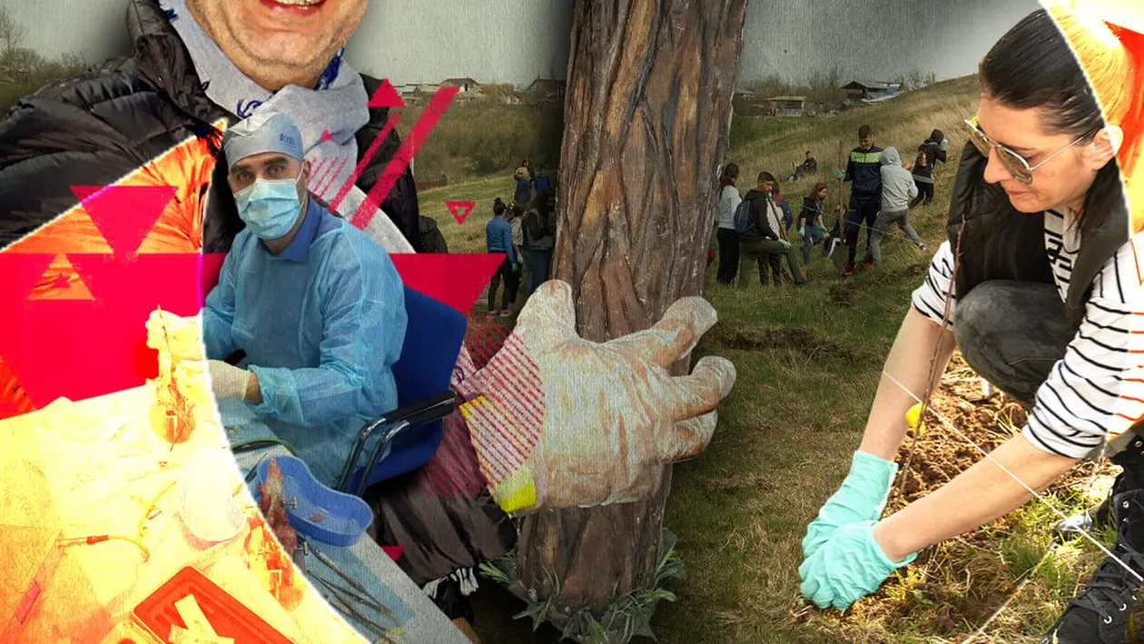 Povestea stomatologului care a plantat peste noapte o pădure întreagă