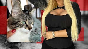 Și-a băgat pisica la produs! Râzi de te prăpădești! Animăluțul vedetei a strâns, deja, 50 de dolari!
