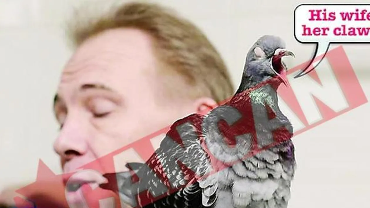 Porumbita amorezata de un britanic