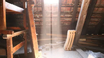 Au trait socul vietii lor cand au intrat in casa unei batrane de 98 de ani si au gasit asta!